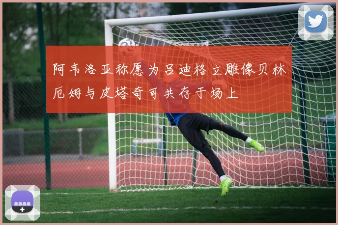 阿韦洛亚称愿为吕迪格立雕像贝林厄姆与皮塔奇可共存于场上