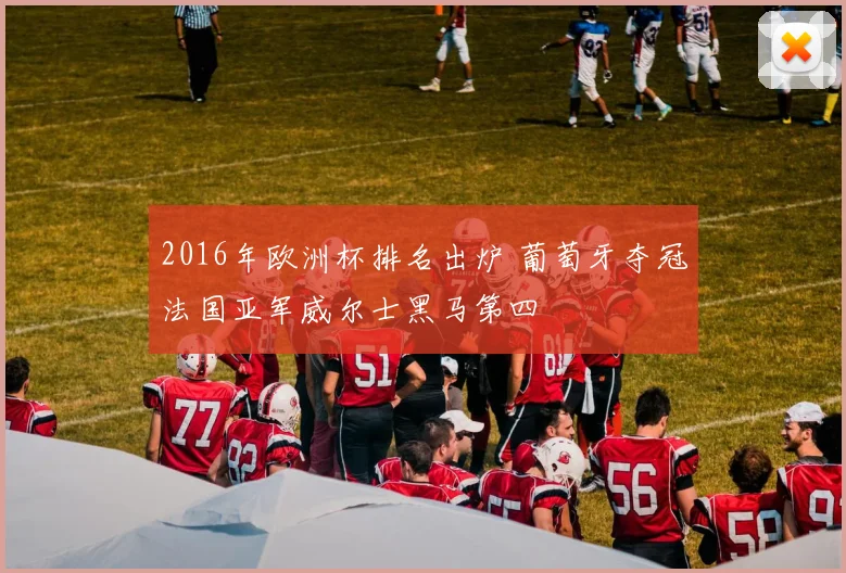 2016年欧洲杯排名出炉 葡萄牙夺冠法国亚军威尔士黑马第四